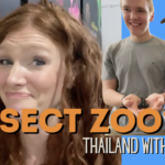 Touring the Unbelievable Thailand Zoo of…Insects?